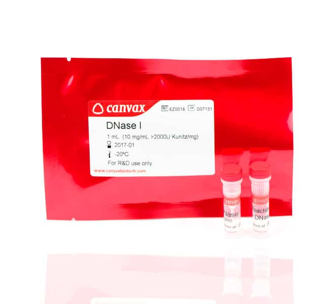 DNase I (10mg/mL) >2.000U kunitz/mg