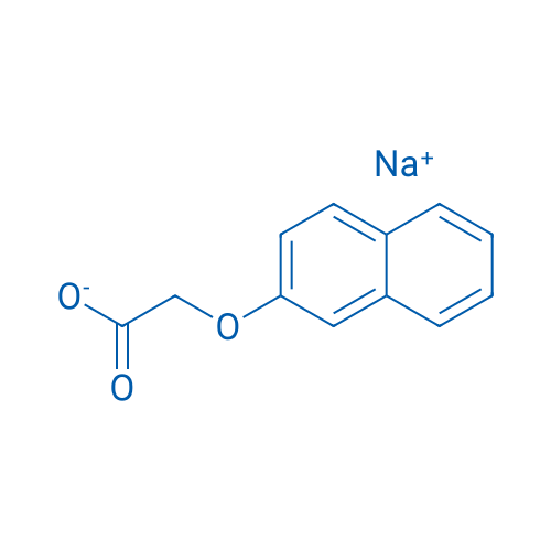 Sodium 2-(naphthalen-2-yloxy)acetate 100g