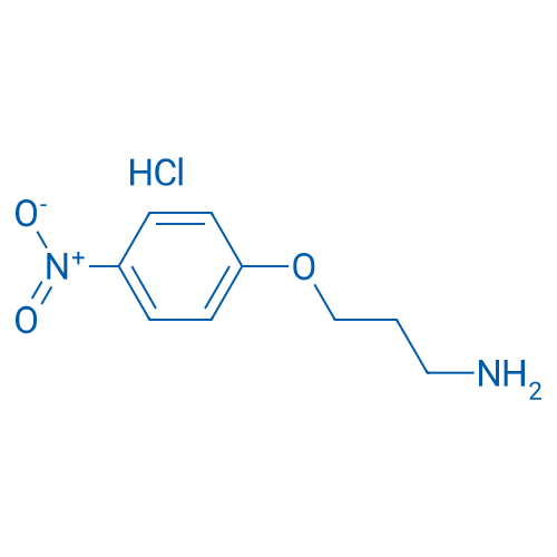 3-(4-Nitrophenoxy)-1-propanamine hydrochloride 1g