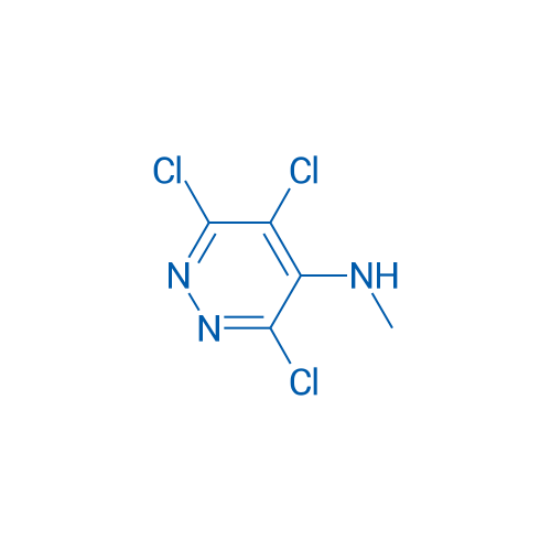 3,5,6-Trichloro-N-methylpyridazin-4-amine 1g