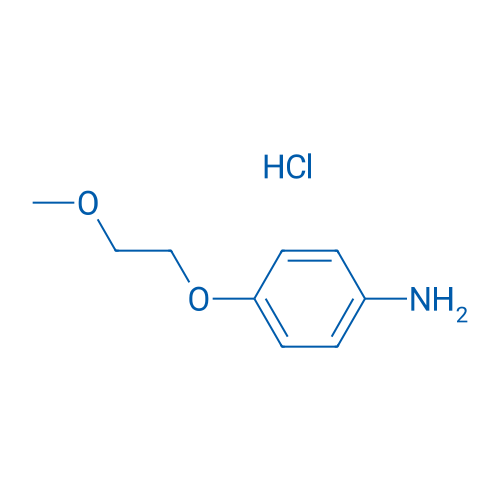 4-(2-Methoxyethoxy)aniline hydrochloride 1g