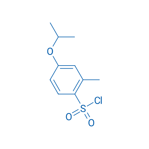 4-Isopropoxy-2-methylbenzenesulfonyl chloride 250mg