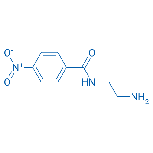 N-(2-Aminoethyl)-4-nitrobenzamide 1g
