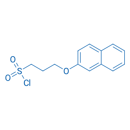 3-(Naphthalen-2-yloxy)propane-1-sulfonyl chloride 1g
