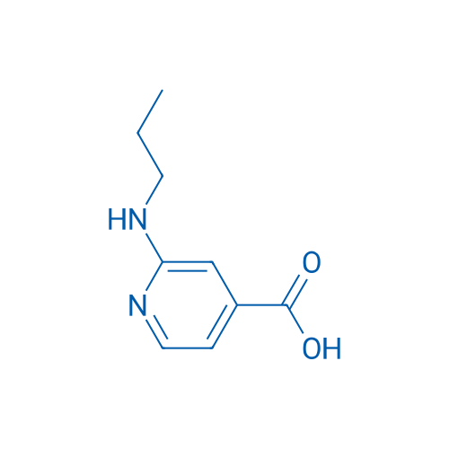 2-(Propylamino)isonicotinic acid 5g