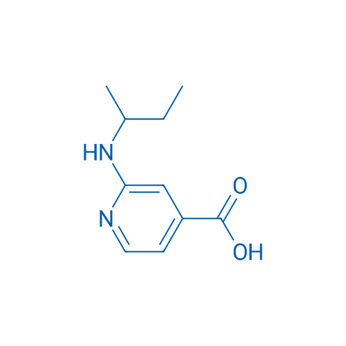 2-(sec-Butylamino)isonicotinic acid 1g