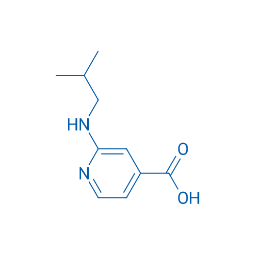 2-(Isobutylamino)isonicotinic acid 1g