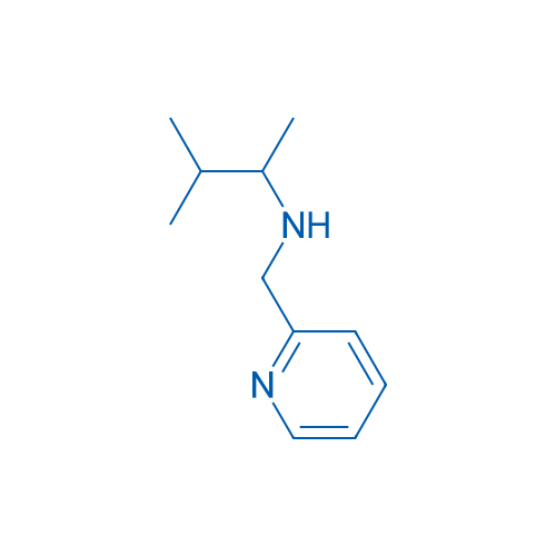 3-Methyl-N-(pyridin-2-ylmethyl)butan-2-amine 10g