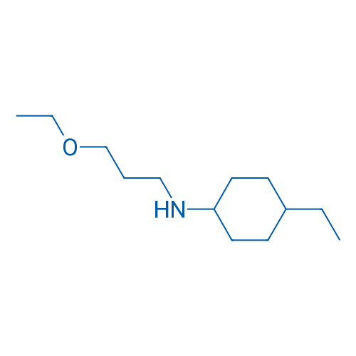 N-(3-Ethoxypropyl)-4-ethylcyclohexan-1-amine 10g
