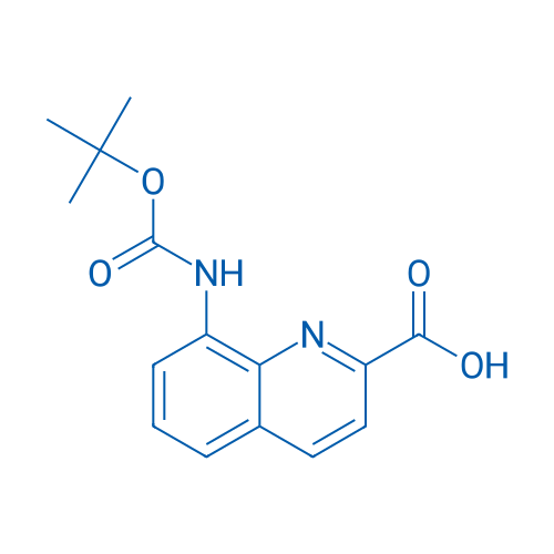 8-((tert-Butoxycarbonyl)amino)quinoline-2-carboxylic acid 1g