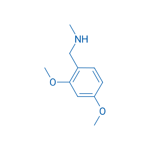1-(2,4-Dimethoxyphenyl)-N-methylmethanamine 10g