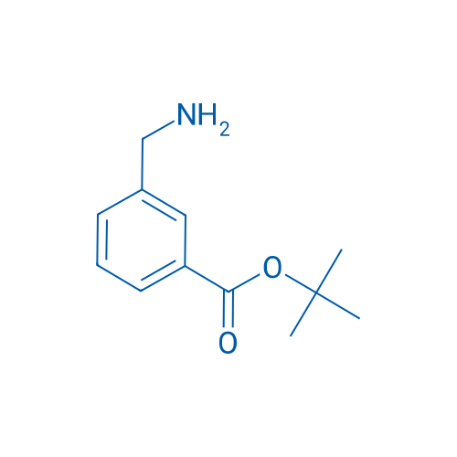 tert-Butyl 3-(aminomethyl)benzoate 100mg