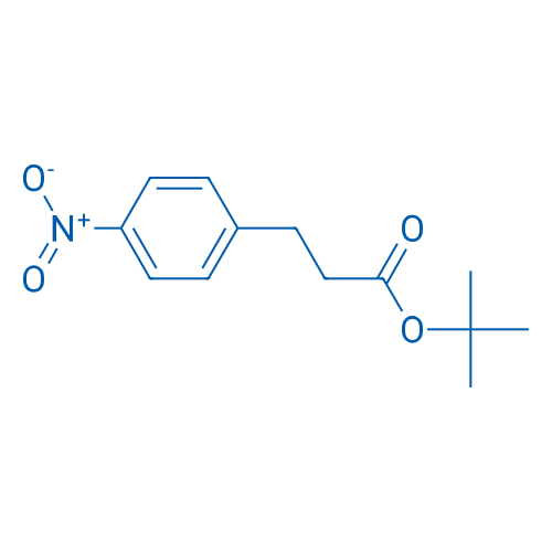 tert-Butyl 3-(4-nitrophenyl)propanoate 1g