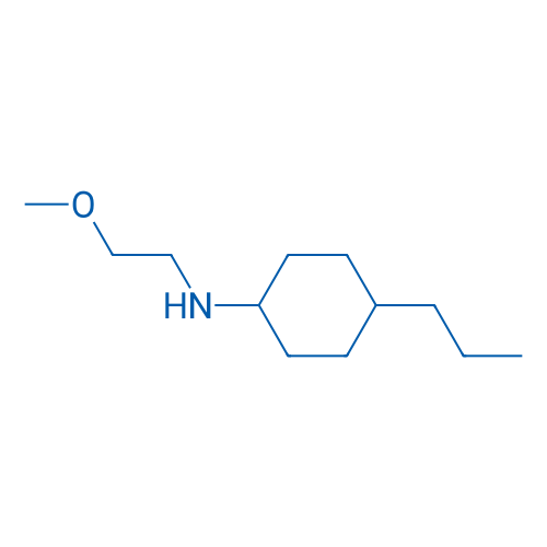N-(2-Methoxyethyl)-4-propylcyclohexan-1-amine 250mg