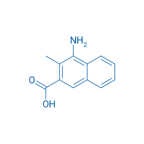 4-Amino-3-methyl-2-naphthoic acid 1g