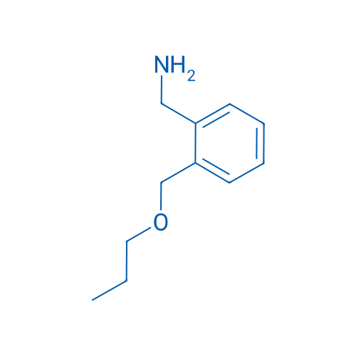 (2-(Propoxymethyl)phenyl)methanamine 5g