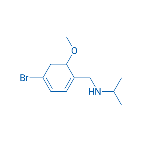 N-(4-Bromo-2-methoxybenzyl)propan-2-amine 1g