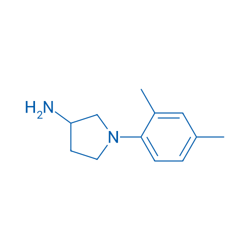 1-(2,4-Dimethylphenyl)pyrrolidin-3-amine 1g