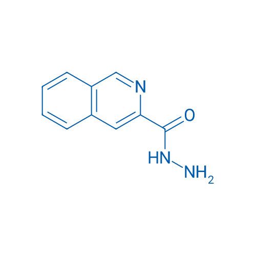 Isoquinoline-3-carbohydrazide 1g