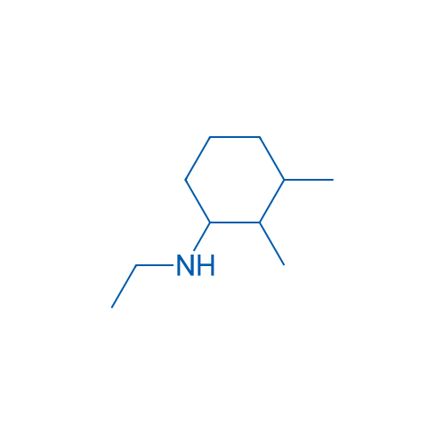 N-Ethyl-2,3-dimethylcyclohexan-1-amine 100mg