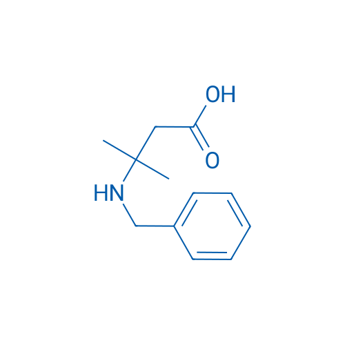3-(Benzylamino)-3-methylbutanoic acid 5g