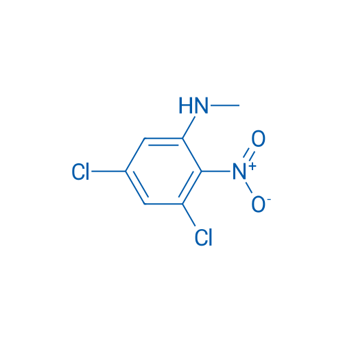 3,5-Dichloro-N-methyl-2-nitroaniline 1g