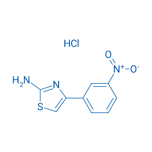 4-(3-Nitrophenyl)thiazol-2-amine hydrochloride 1g