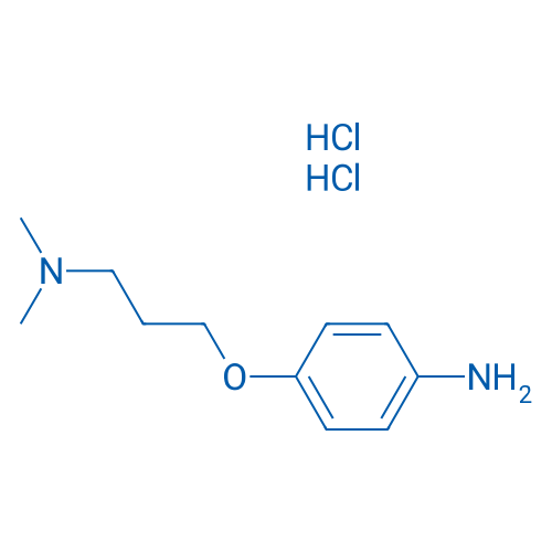 4-(3-Dimethylamino-propoxy)-phenylamine dihydrochloride 25g