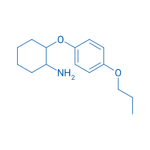 2-(4-Propoxyphenoxy)cyclohexan-1-amine 1g