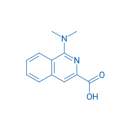 1-(Dimethylamino)isoquinoline-3-carboxylic acid 1g