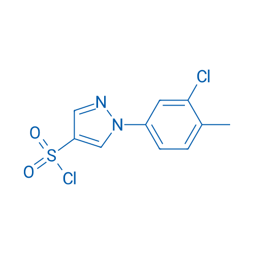 1-(3-Chloro-4-methylphenyl)-1H-pyrazole-4-sulfonyl chloride 100mg