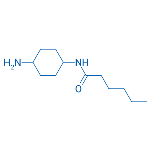 N-(4-Aminocyclohexyl)hexanamide 10g