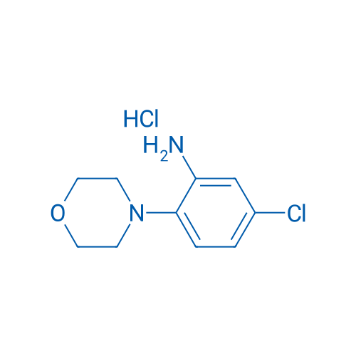 5-Chloro-2-(morpholin-4-yl)aniline hydrochloride 1g