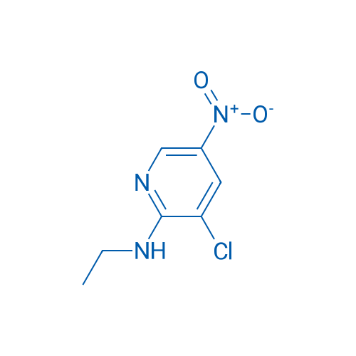 3-Chloro-N-ethyl-5-nitropyridin-2-amine 1g