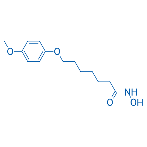 N-Hydroxy-7-(4-methoxyphenoxy)heptanamide 1g