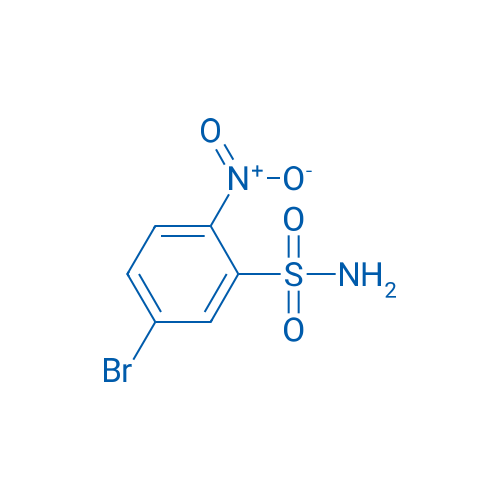5-Bromo-2-nitrobenzenesulphonamide 1g