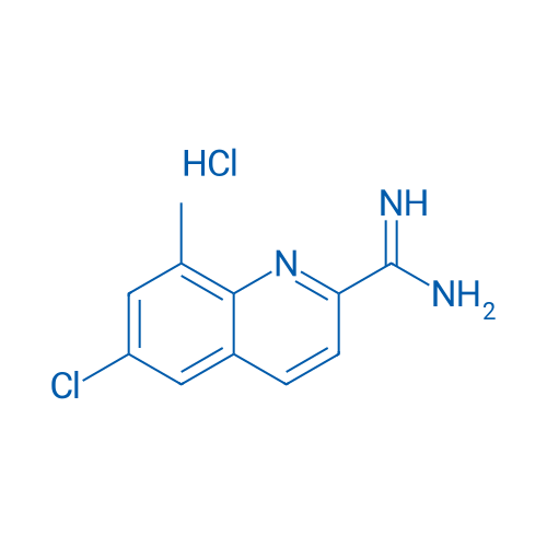 6-Chloro-8-methylquinoline-2-carboximidamide hydrochloride 1g