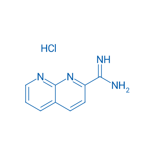 1,8-Naphthyridine-2-carboximidamide hydrochloride 1g