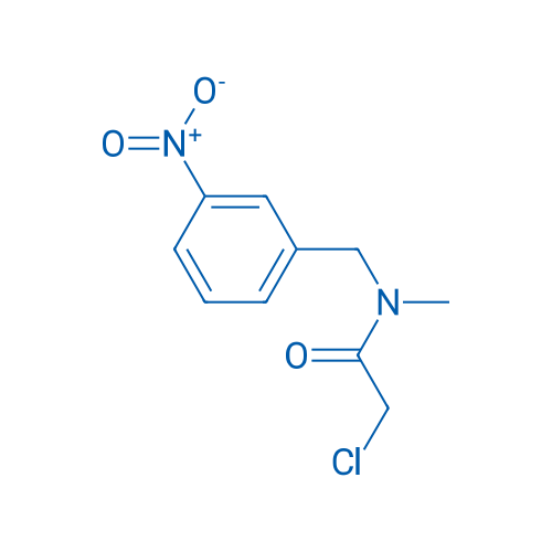 2-Chloro-N-methyl-N-(3-nitrobenzyl)acetamide 1g