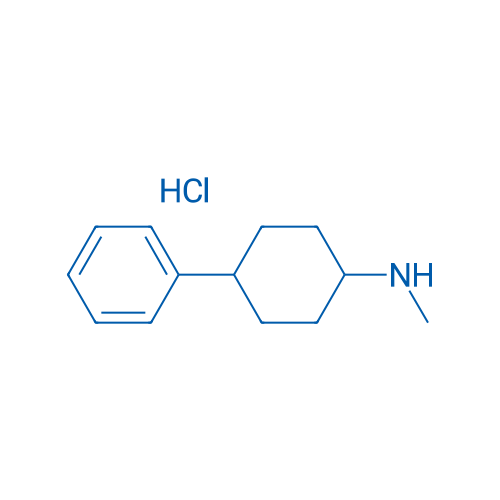 N-Methyl-4-phenylcyclohexan-1-amine hydrochloride 1g