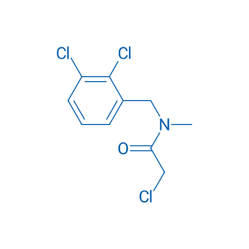 2-Chloro-N-(2,3-dichlorobenzyl)-N-methylacetamide 1g