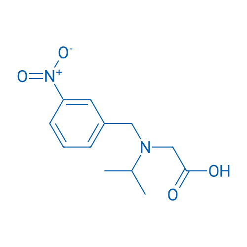 2-(Isopropyl(3-nitrobenzyl)amino)acetic acid 1g