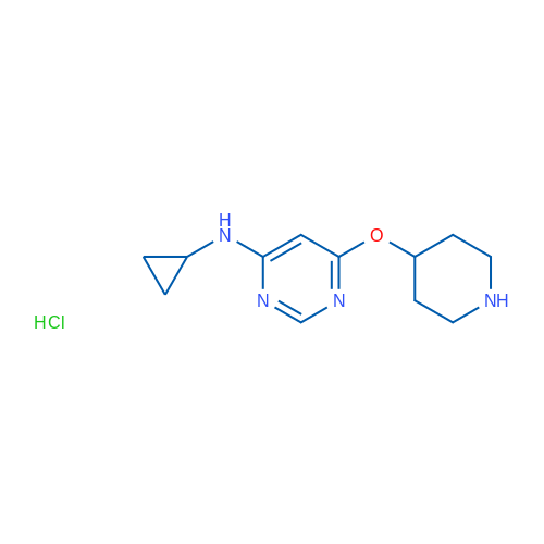 N-Cyclopropyl-6-(piperidin-4-yloxy)pyrimidin-4-amine hydrochloride 1g