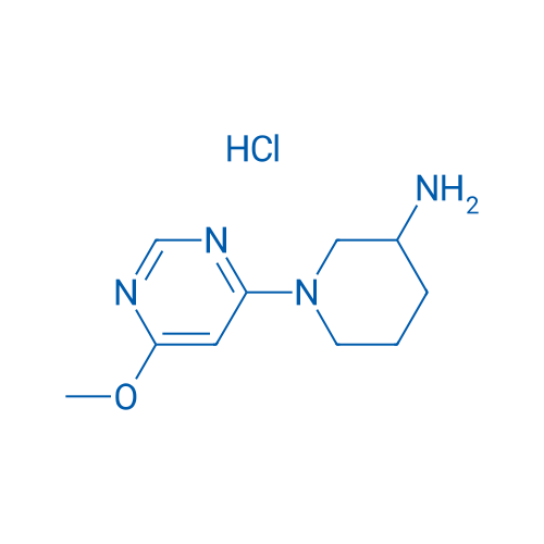 1-(6-Methoxypyrimidin-4-yl)piperidin-3-amine hydrochloride 1g