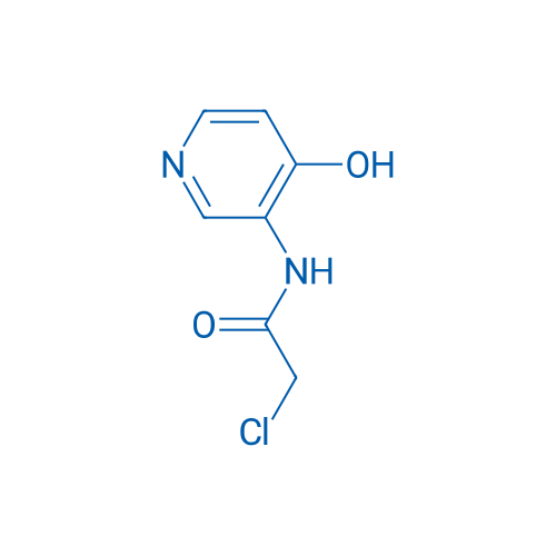 2-Chloro-N-(4-hydroxypyridin-3-yl)acetamide 1g