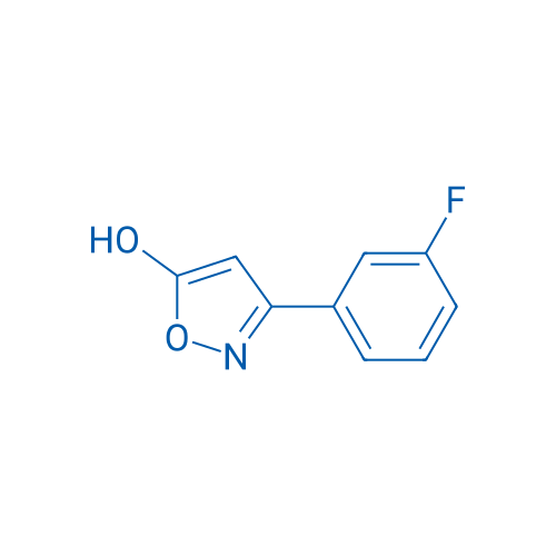 3-(3-Fluorophenyl)isoxazol-5-ol 250mg