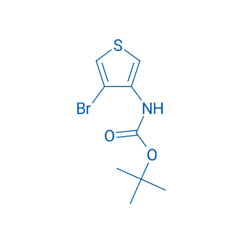 tert-Butyl (4-bromothiophen-3-yl)carbamate 5g