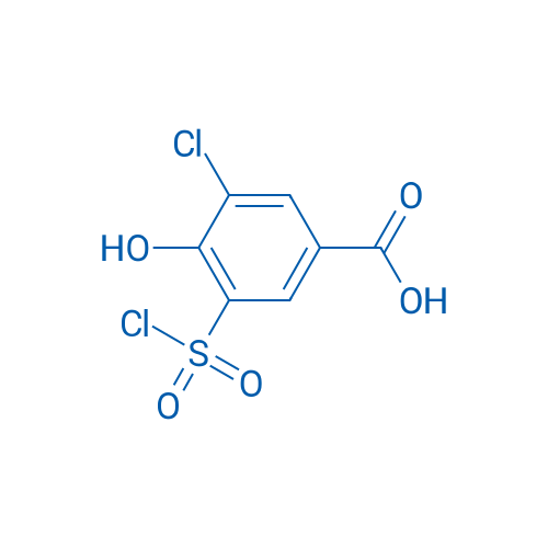 3-Chloro-5-(chlorosulfonyl)-4-hydroxybenzoic acid 1g