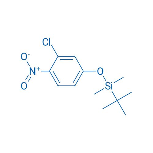 tert-Butyl(3-chloro-4-nitrophenoxy)dimethylsilane 1g