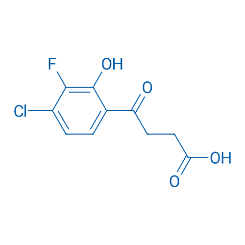 4-(4-Chloro-3-fluoro-2-hydroxyphenyl)-4-oxobutanoic acid 1g